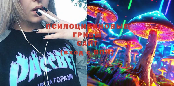 эйфоретик Инта